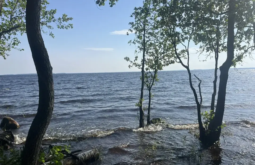Joensuu Lake Landscape